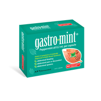 Gastro-Mint Irritable Bowel Syndrome (IBS) Relief