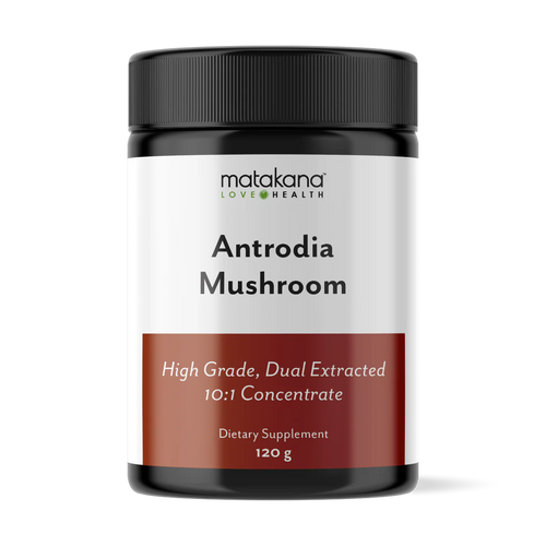 Matakana Health Antrodia Mushroom