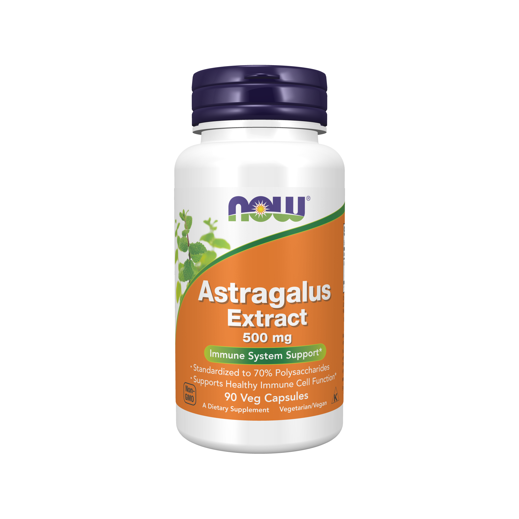 NOW Foods Astragalus Extract 500mg