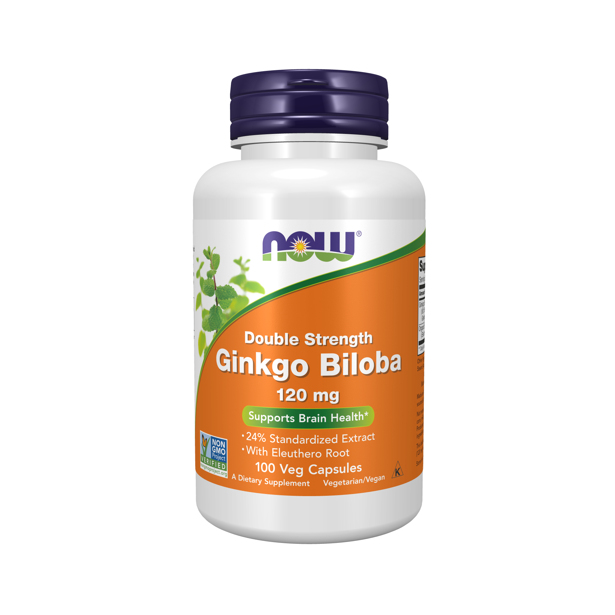 NOW Foods Ginkgo Biloba Double Strength 120mg