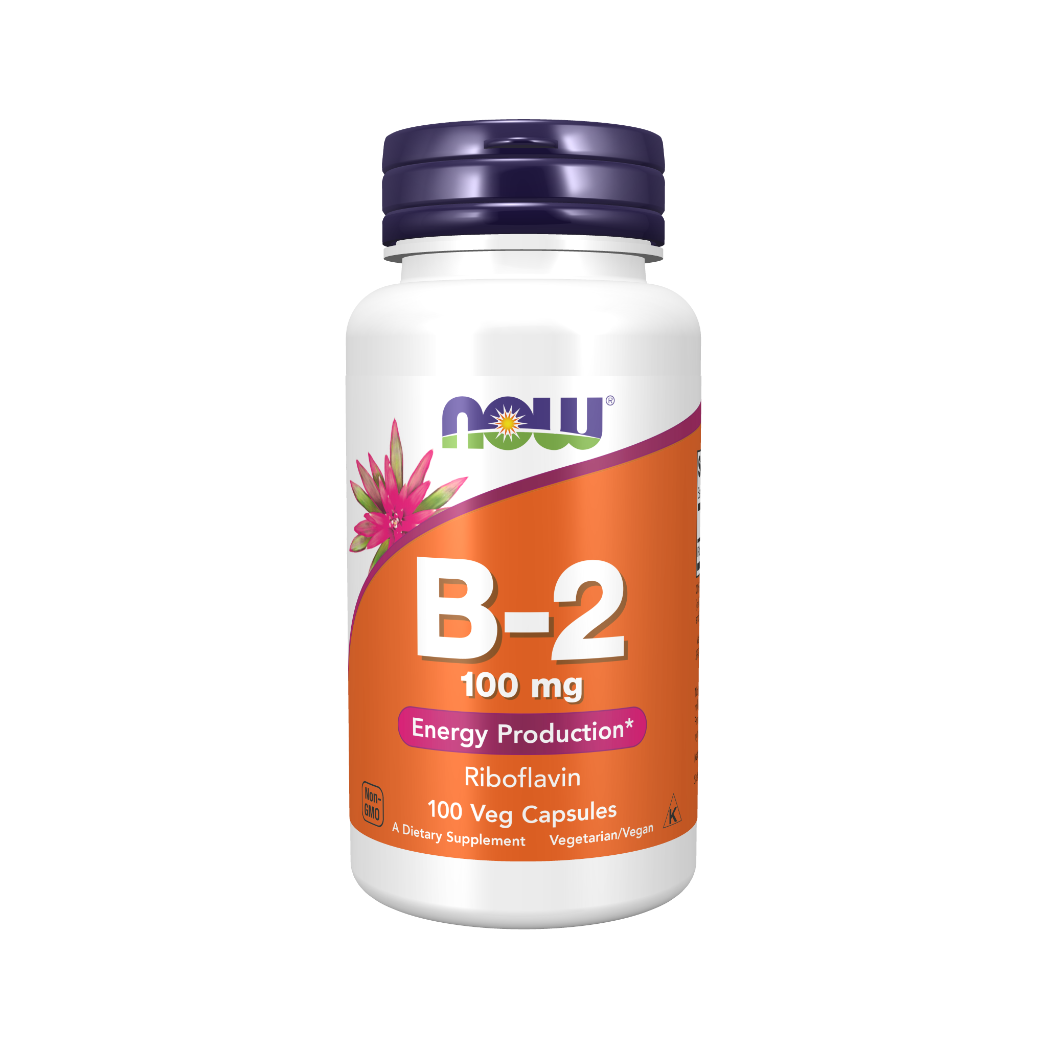 NOW Foods Vitamin B-2 100mg