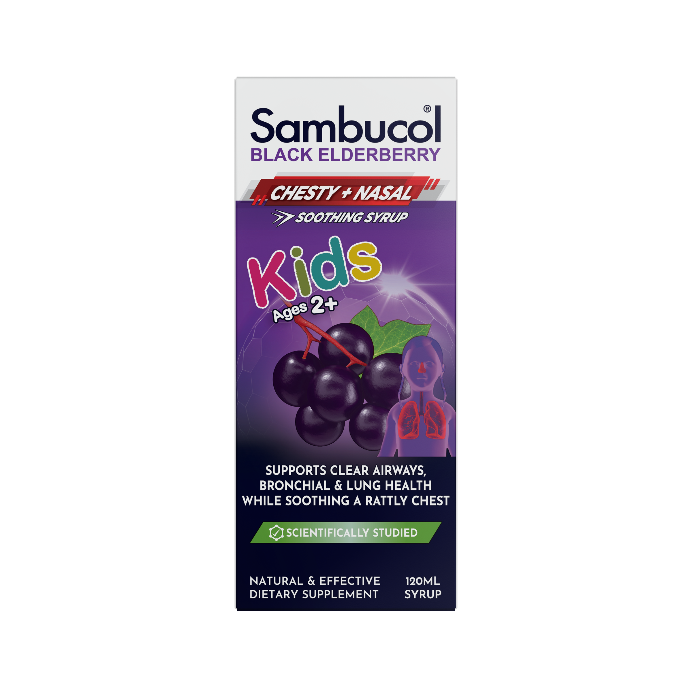 Sambucol Kids Black Elderberry Chesty + Nasal Soothing Syrup