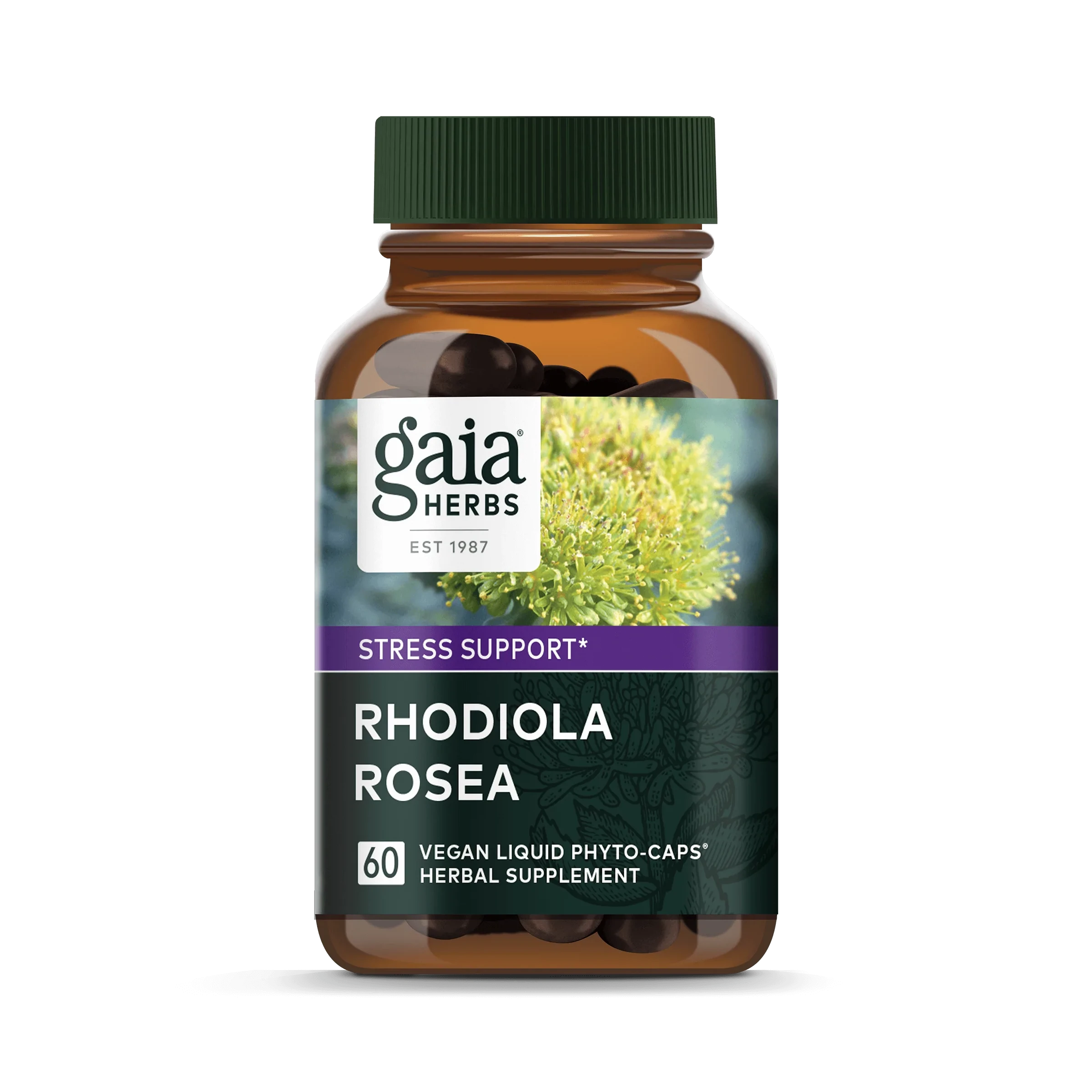 Gaia Herbs Rhodiola Rosea