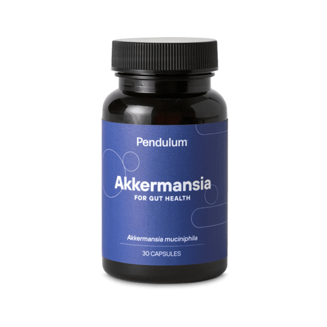 Pendulum Akkermansia