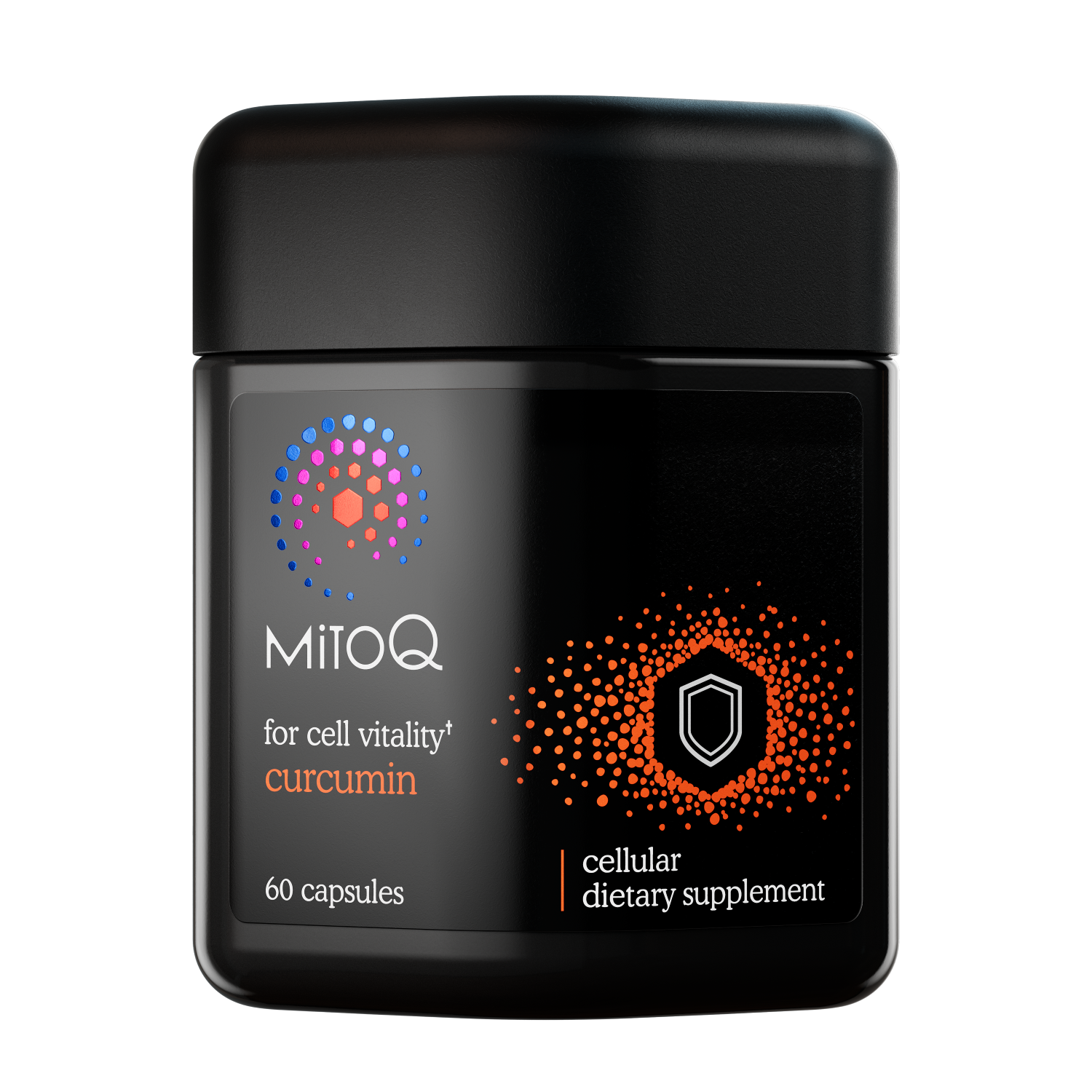 MitoQ +Curcumin