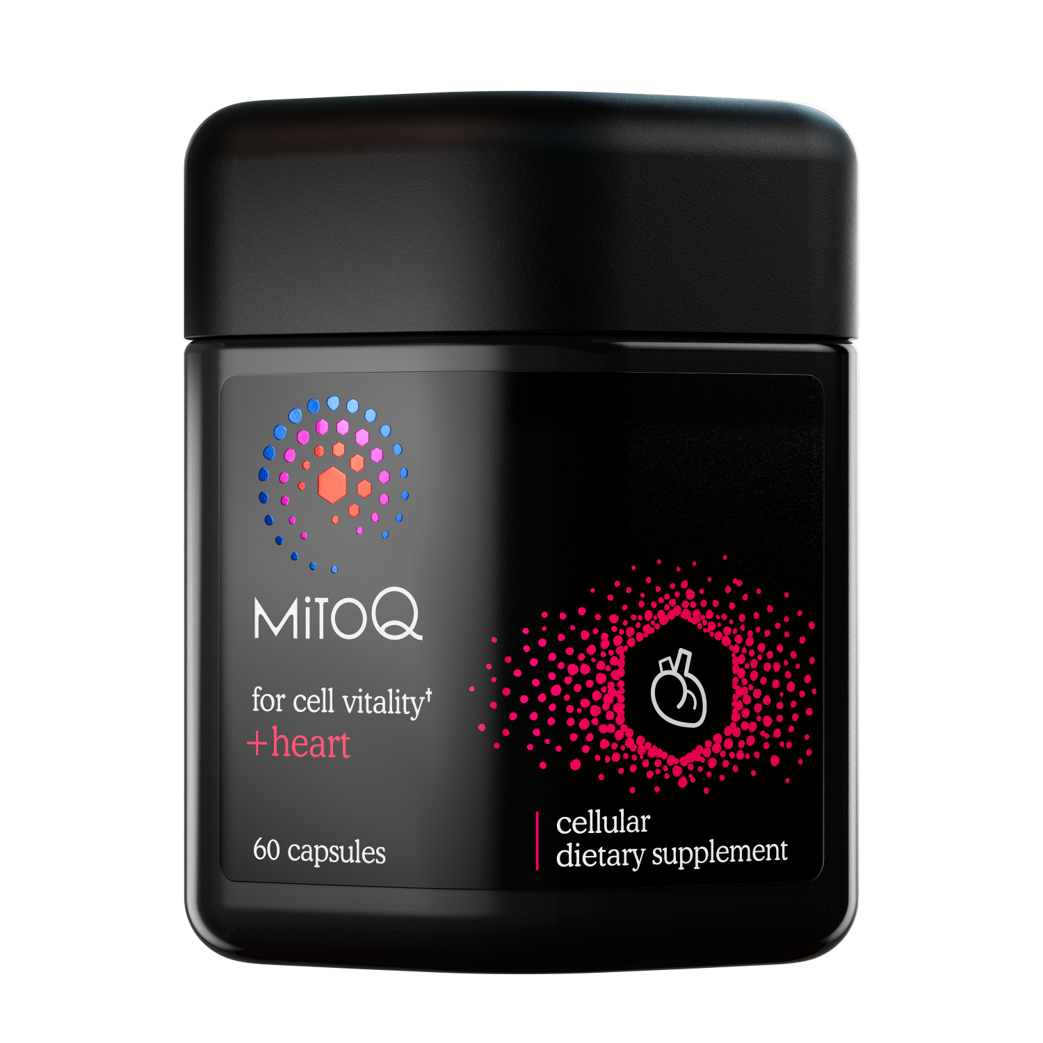 MitoQ +Heart