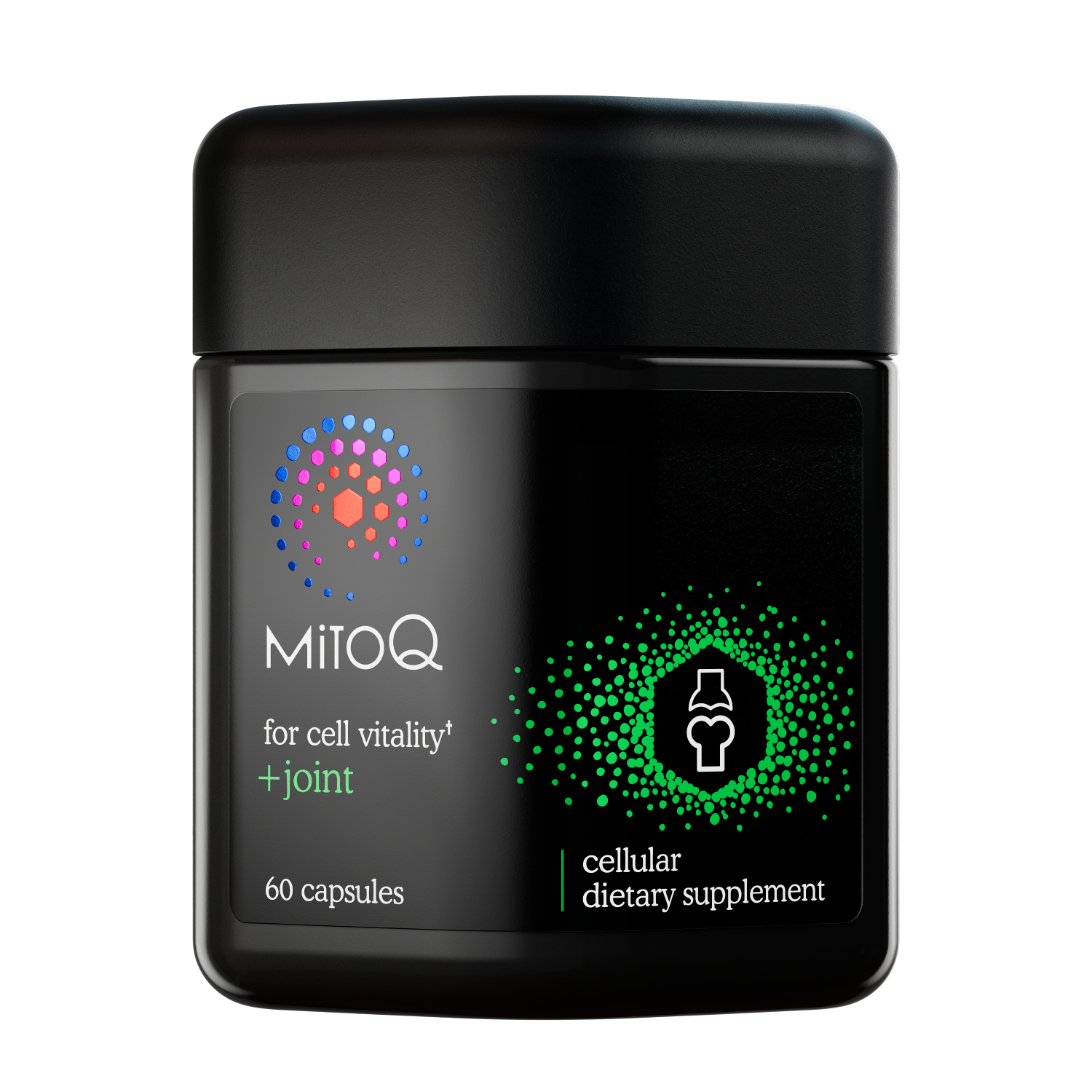 MitoQ +Joint