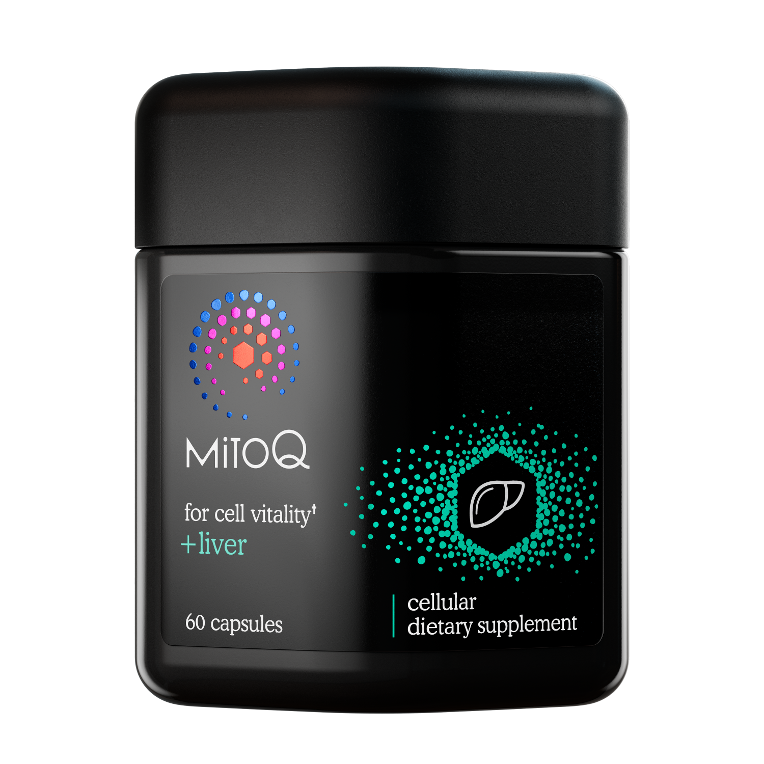 MitoQ +Liver