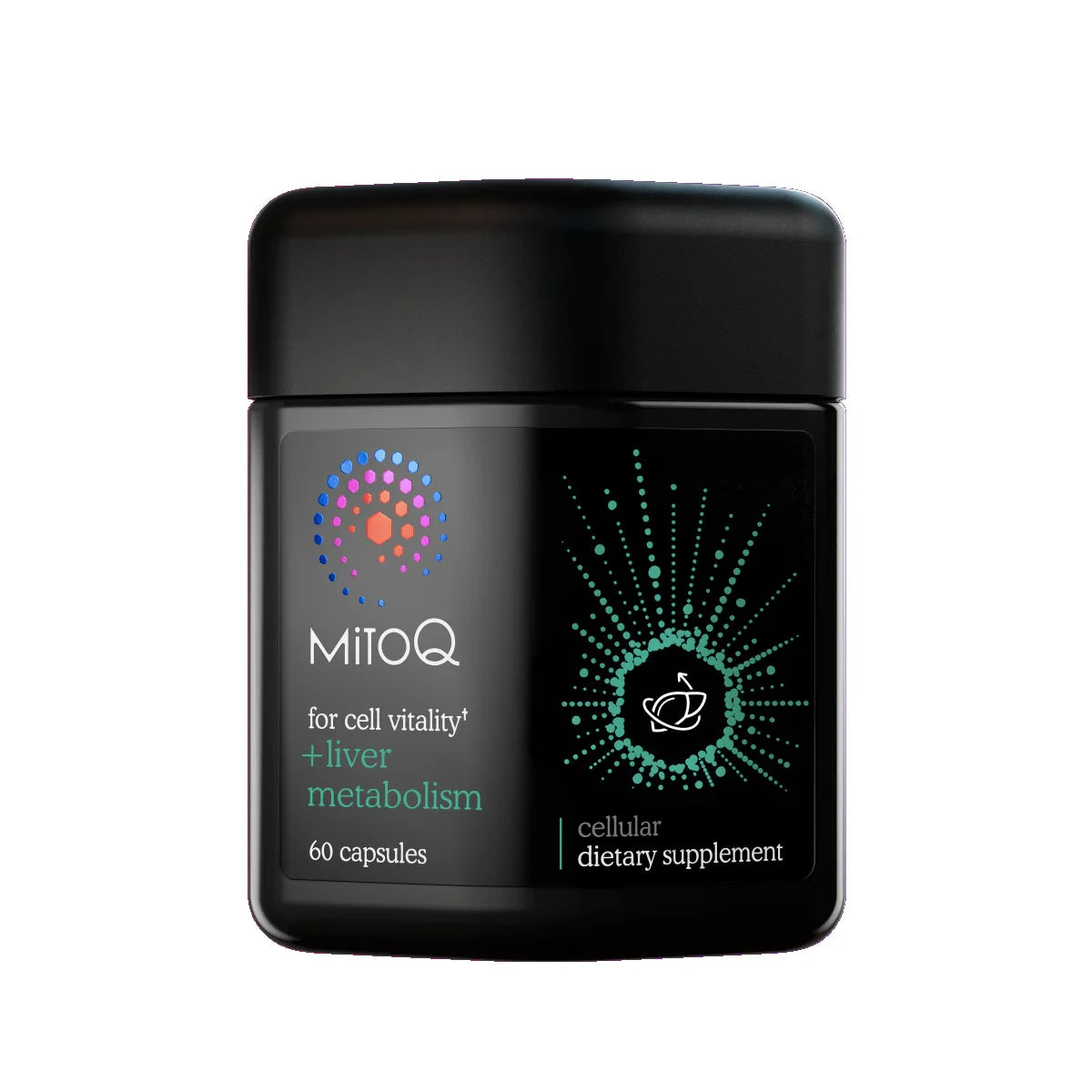 MitoQ +Liver Metabolism