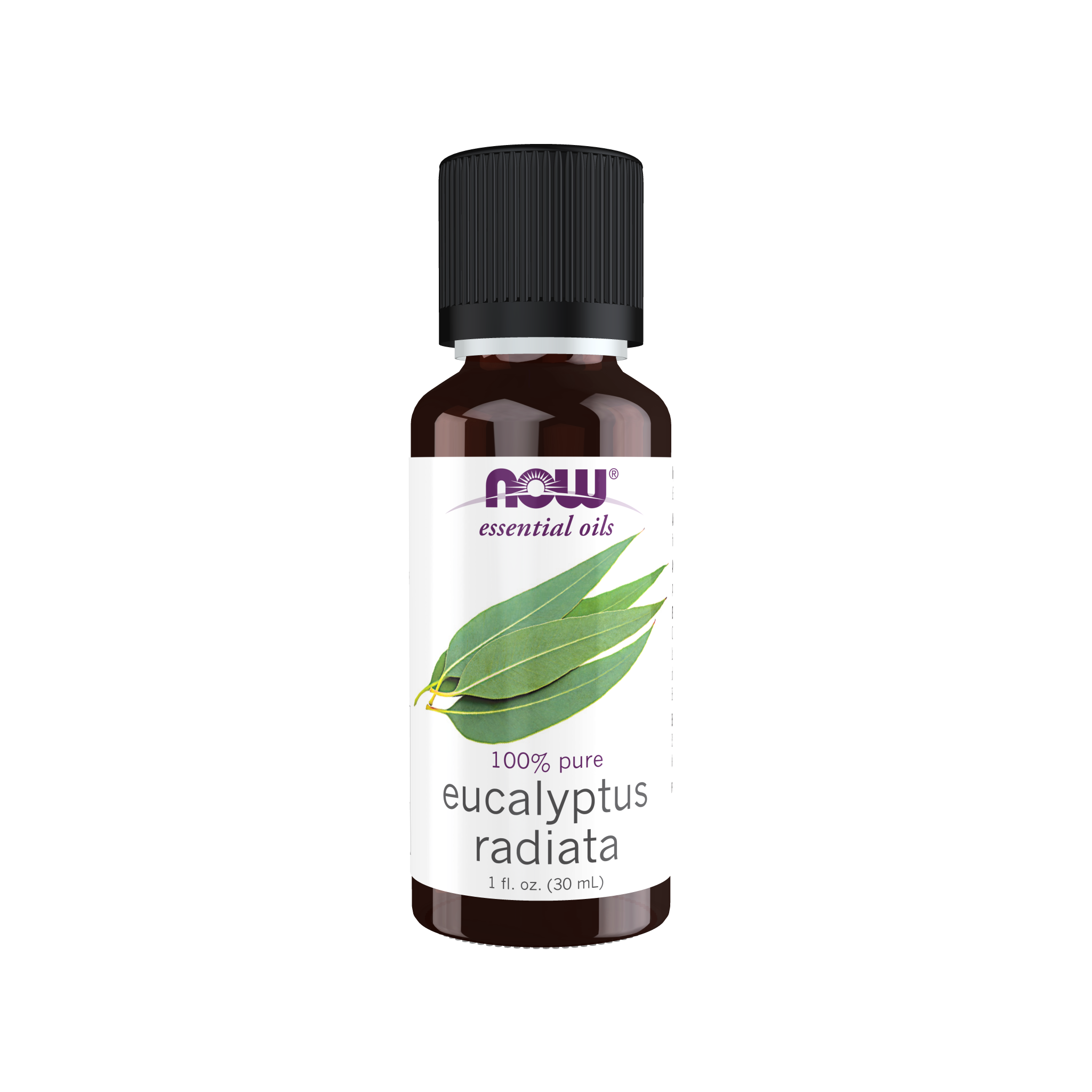 NOW Essential Oils Eucalyptus Radiata Oil