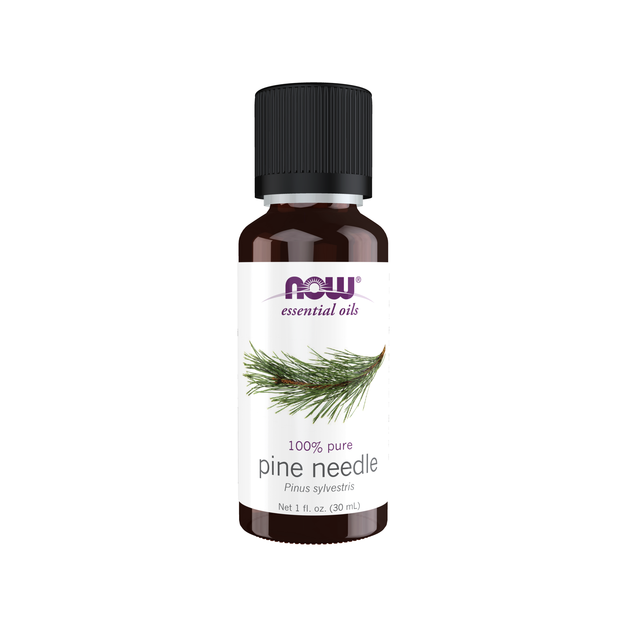 NOW Essential Oils Pine Needle Oil