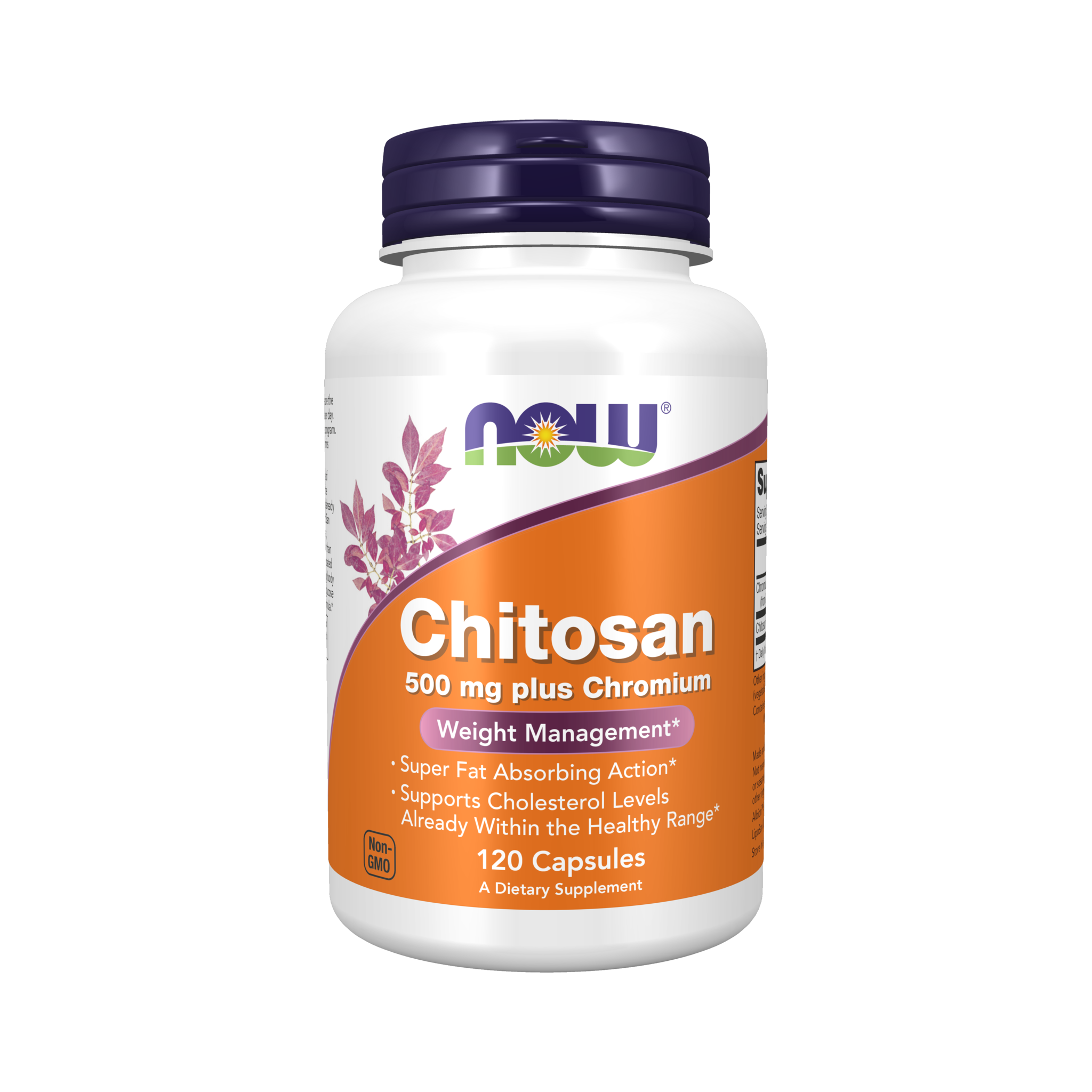 NOW Foods Chitosan 500mg plus Chromium