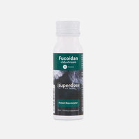 Superdose Fucoidan + Mushroom
