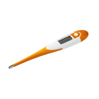 BOSS Systems Digital Thermometer