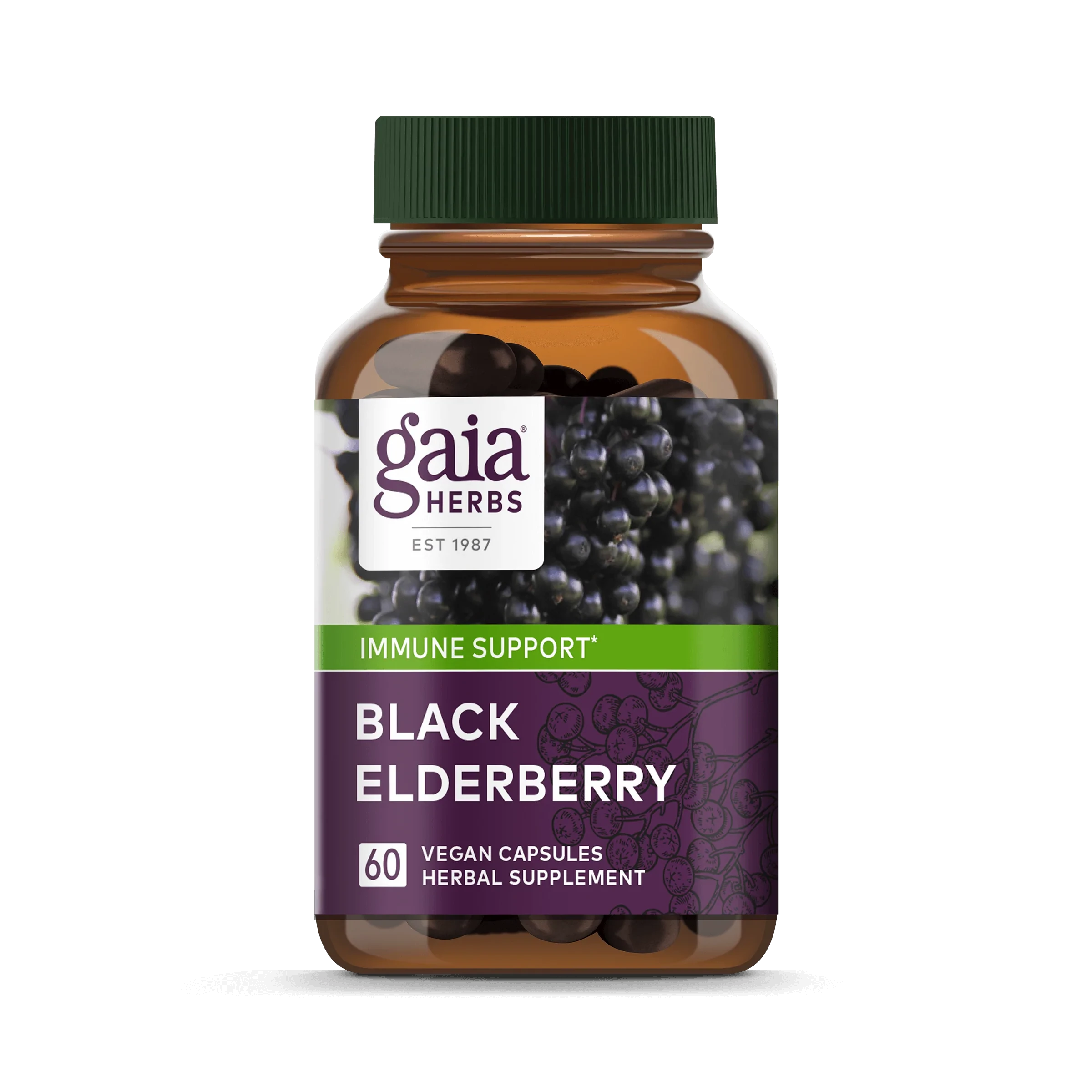 Gaia Herbs Black Elderberry