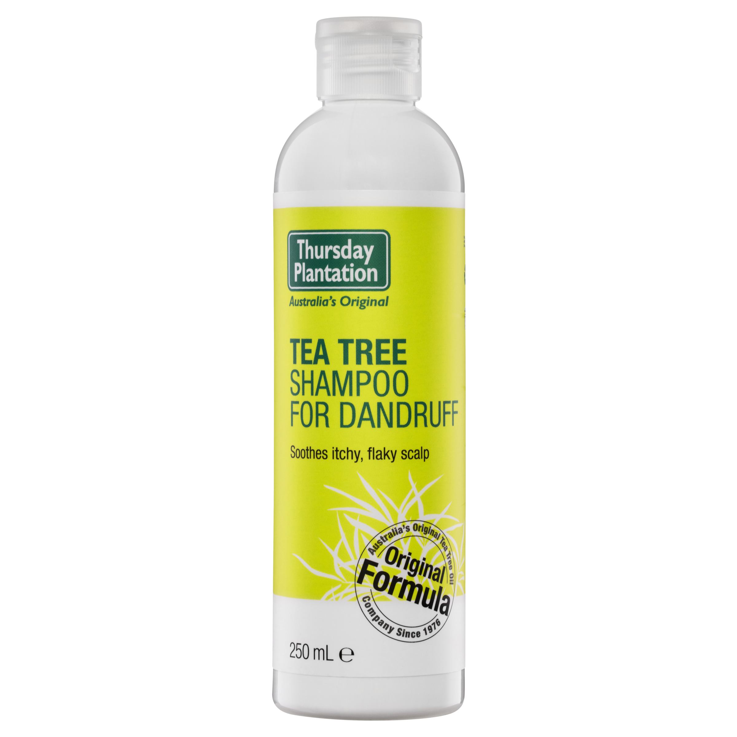 Thursday Plantation Tea Tree Shampoo for Dandruff